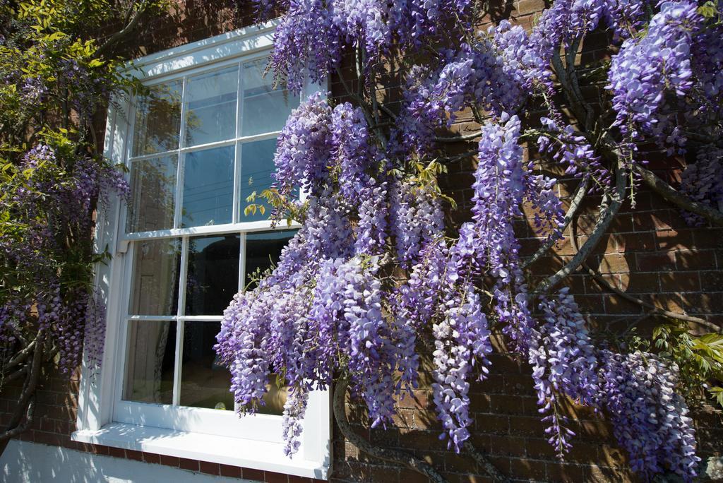 Boreham House Herstmonceux Exteriér fotografie